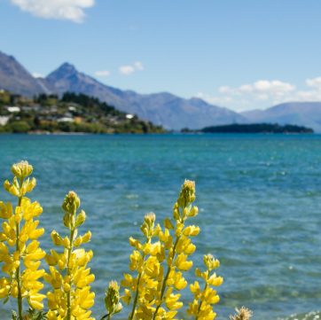 Bright Futures Counselling